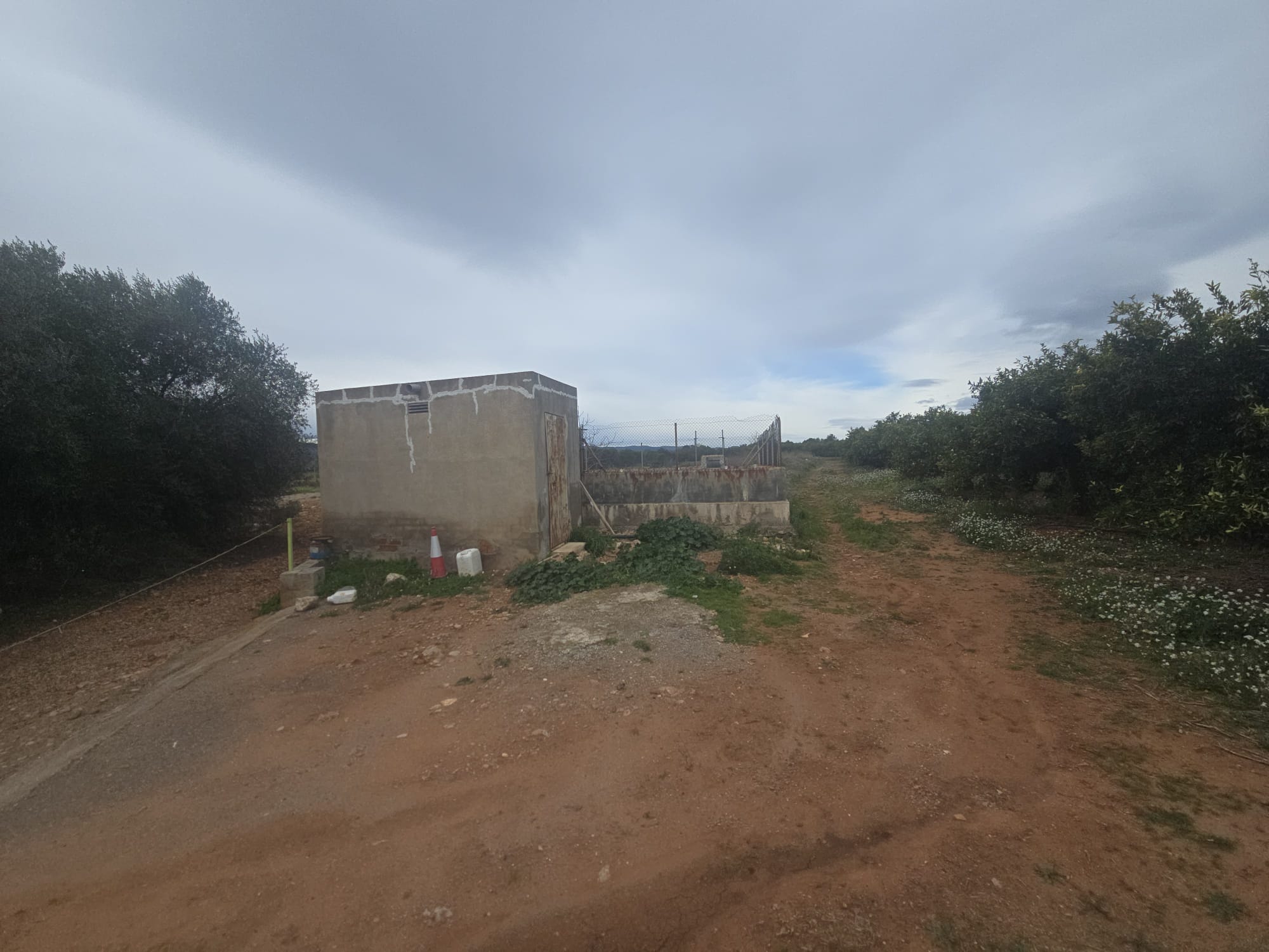 Suelo rústico situado en Vila-real (Castellón)