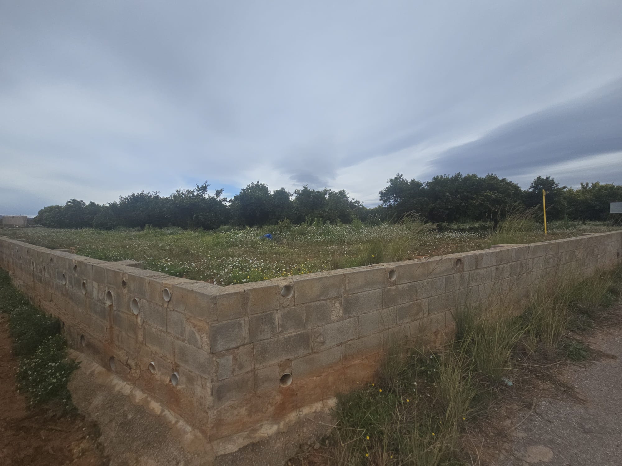 Suelo rústico situado en Vila-real (Castellón)