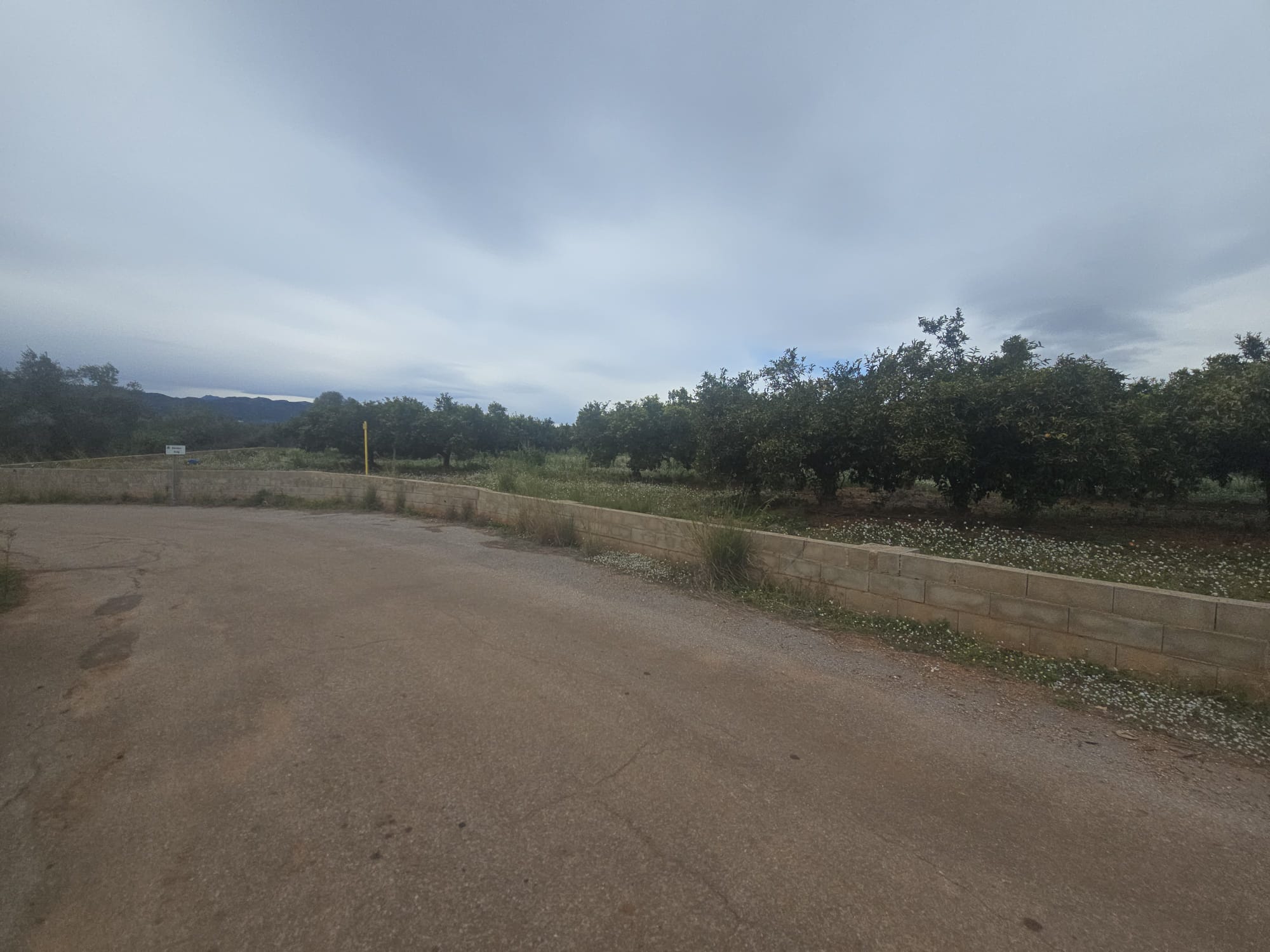 Suelo rústico situado en Vila-real (Castellón)